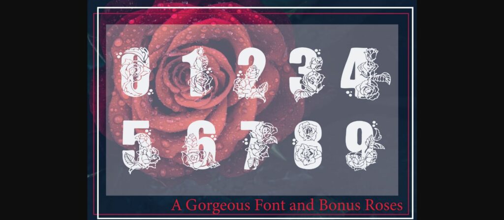 Red Rose Font Poster 5