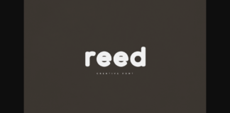 Reed Font Poster 1