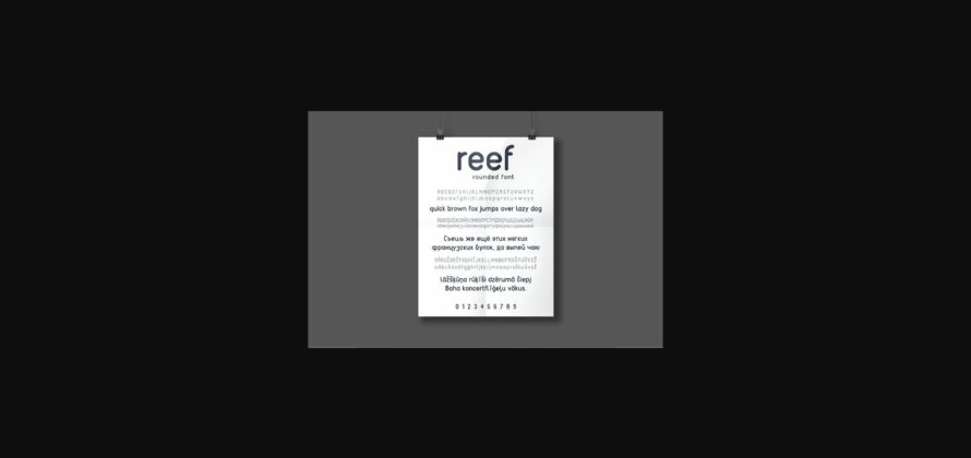 Reef Font Poster 6