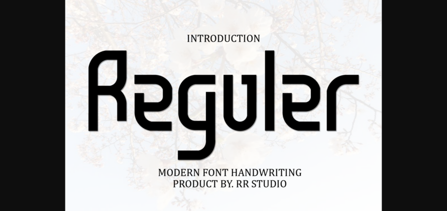 Reguler Font Poster 3