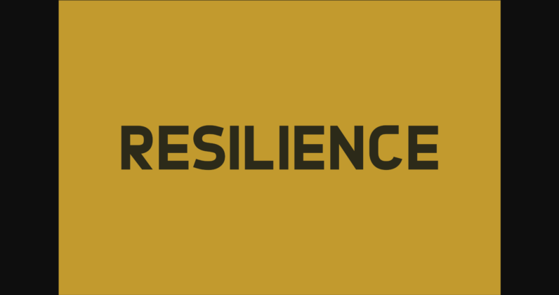 Resilience Font Poster 3