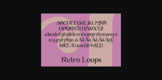 Retro Loops Font Poster 1