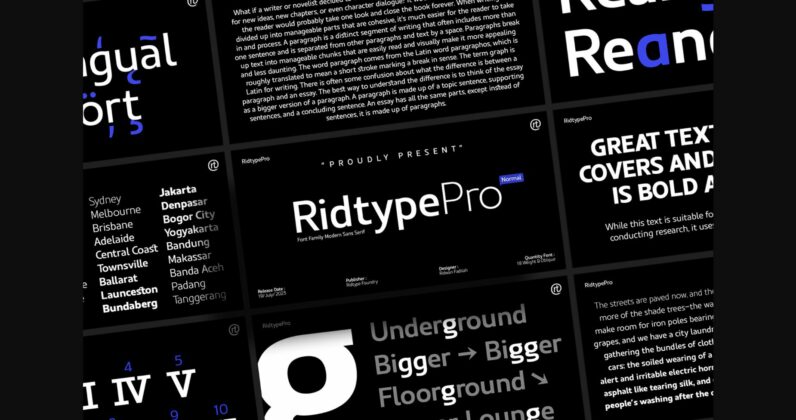 Ridtype Pro Font Poster 3