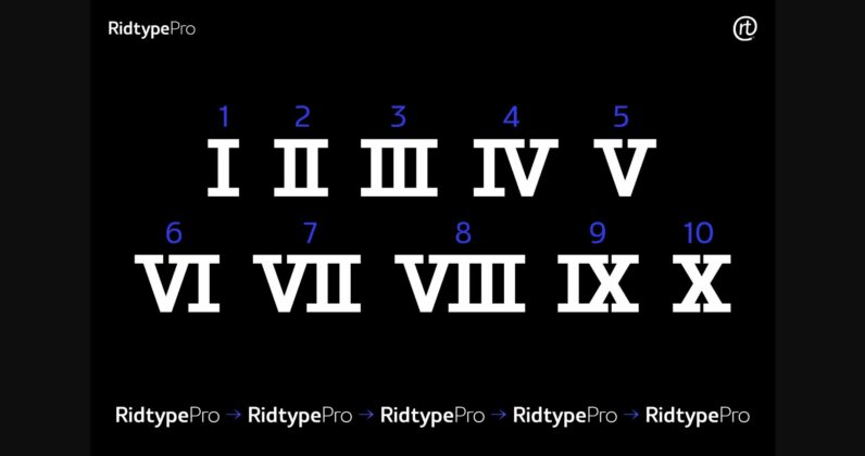 Ridtype Pro Font Poster 8