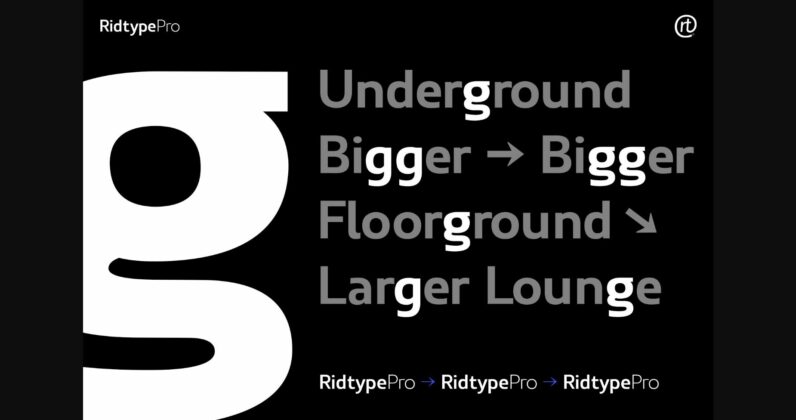 Ridtype Pro Font Poster 10