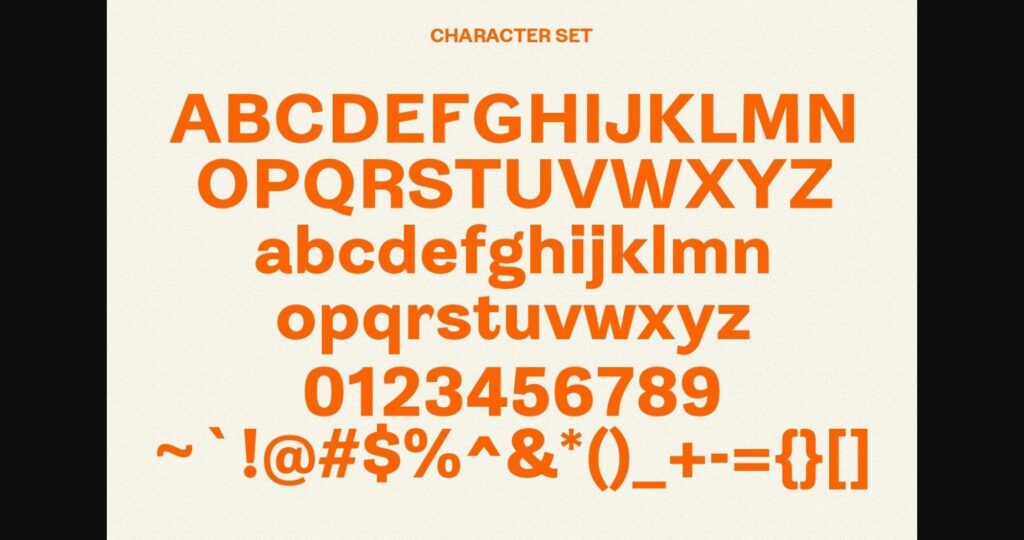 Ritola Sans Font Poster 10