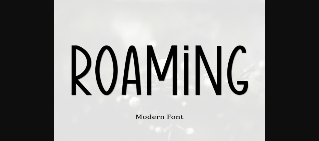 Roaming Font Poster 3