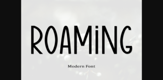 Roaming Font Poster 1