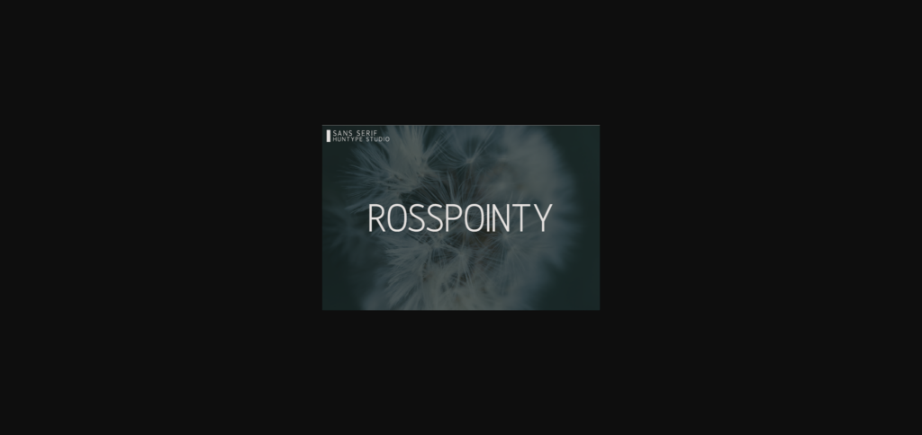 Rosspointy Font Poster 3