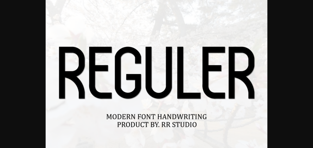 Roways Font Poster 5