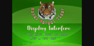 Royal Bengal Tiger Font Poster 1