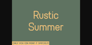 Rustic Summer Font Poster 1