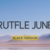 Rutfle June Black Font