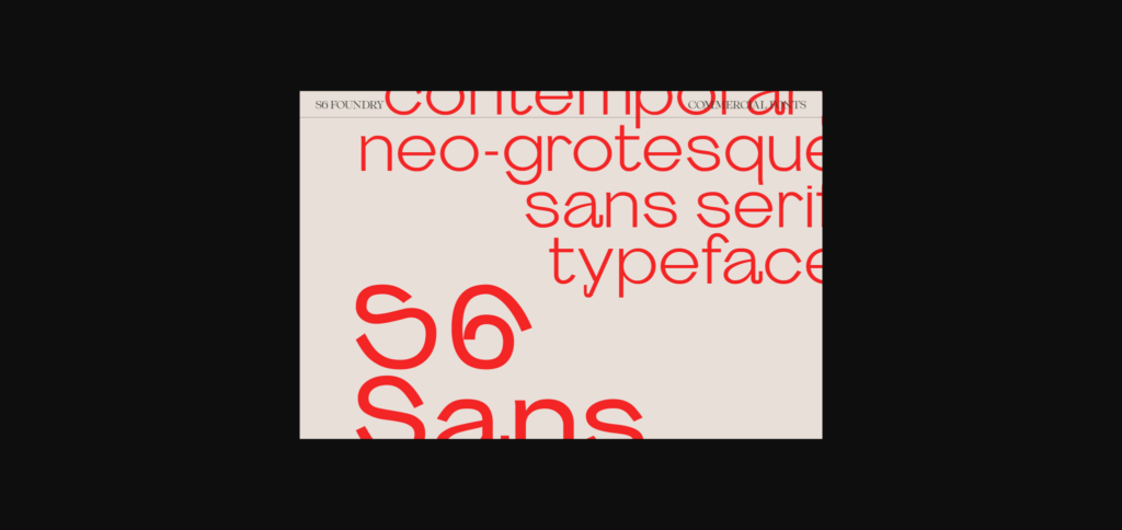 S6 Sans Font Poster 8