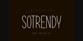 Sotrendy Font Poster 1