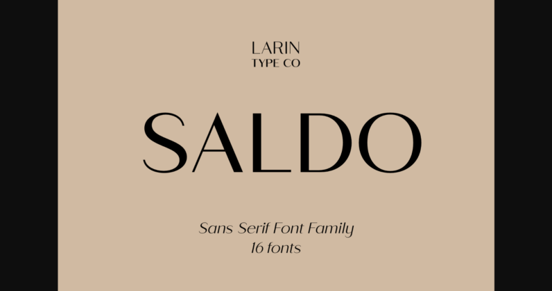 Saldo Font Poster 3