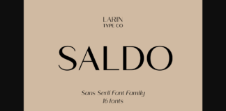 Saldo Font Poster 1