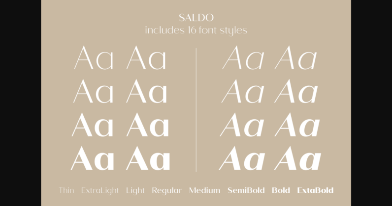 Saldo Font Poster 11