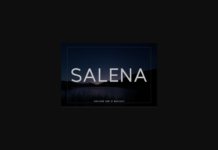 Salena Font Poster 1