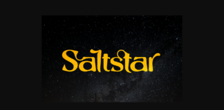 Saltstar Font Poster 1