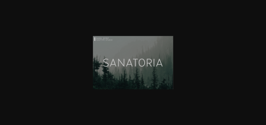 Sanatoria Font Poster 3