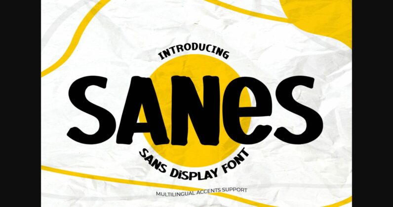 Sanes Font Poster 1