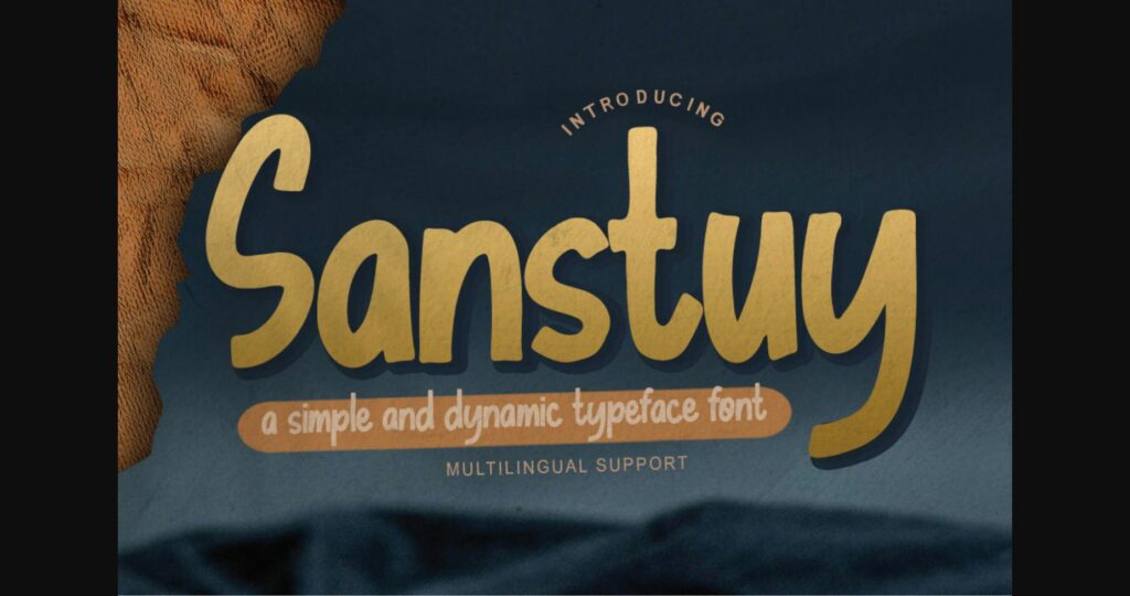 Sanstuy Font Poster 1