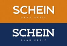 Schein Font Poster 1