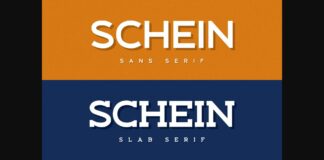 Schein Font Poster 1