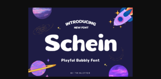 Schein Font Poster 1