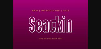 Seackin Font Poster 1