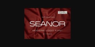 Seanor Font Poster 1