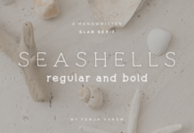 Seashells Font