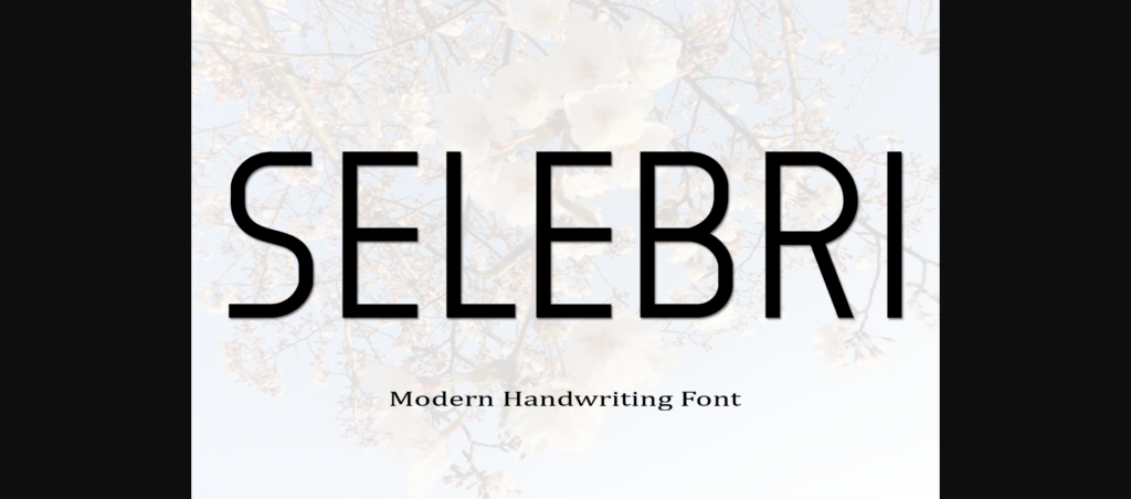 Selebri Font Poster 1