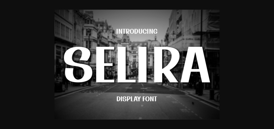 Selira Font Poster 3