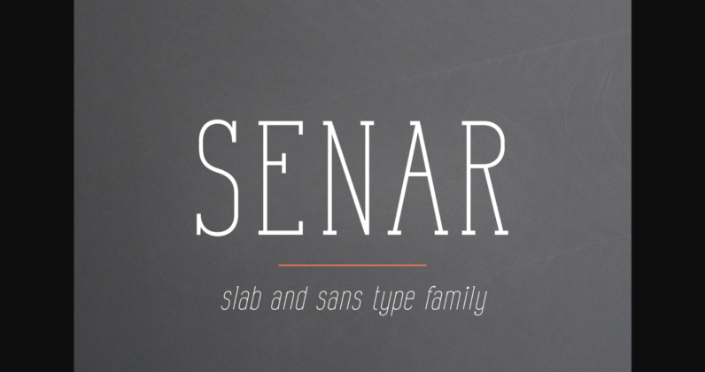 Senar Poster 1