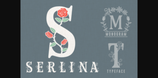 Serlina Font Poster 1