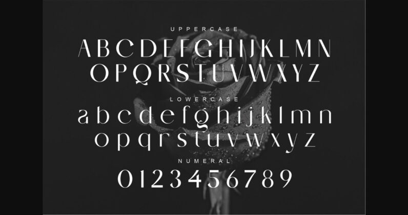 Serling Font Poster 9