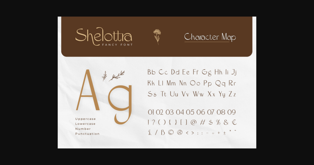 Shelottra Font Poster 2