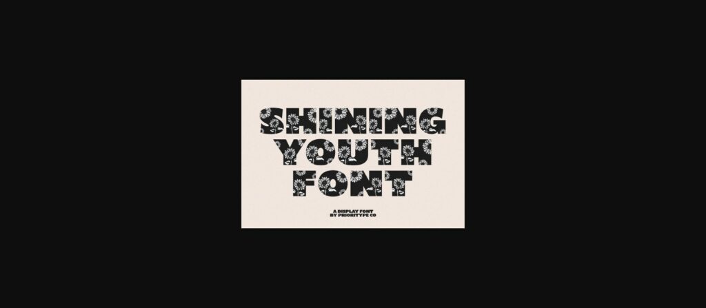 Shining Youth Font Poster 1