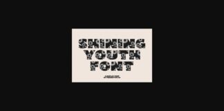 Shining Youth Font Poster 1