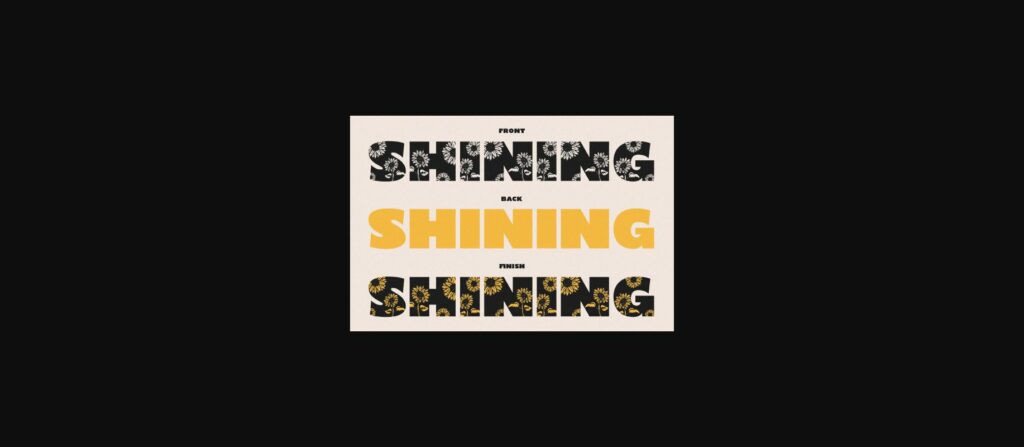 Shining Youth Font Poster 4