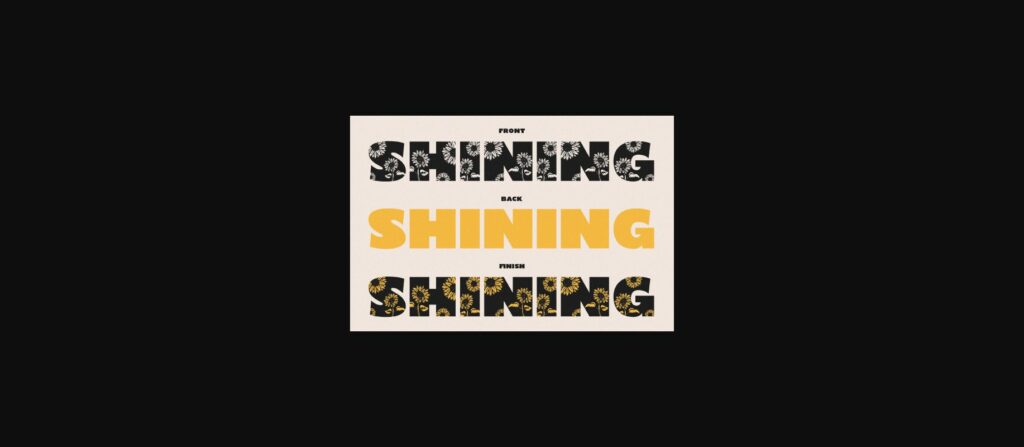Shining Youth Font Poster 2