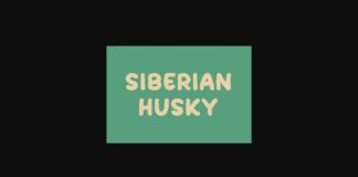 Siberian Husky Font Poster 1