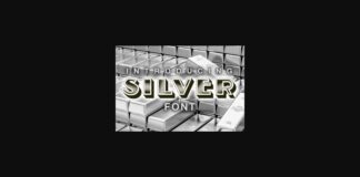 Silver Font Poster 1