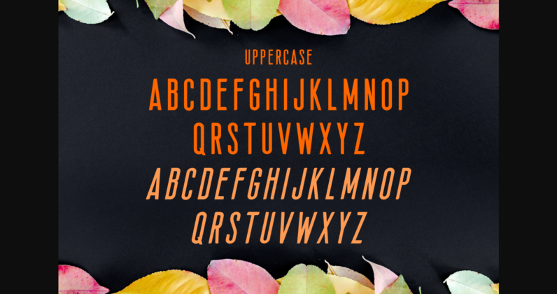 Silveria Font Poster 9