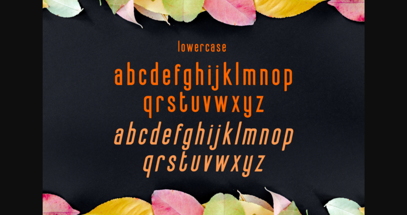 Silveria Font Poster 10