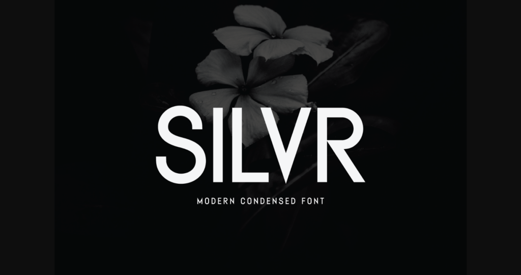 Silvr Font Poster 3