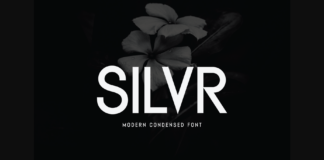 Silvr Font Poster 1