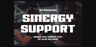 Sinergy Support Font Poster 1